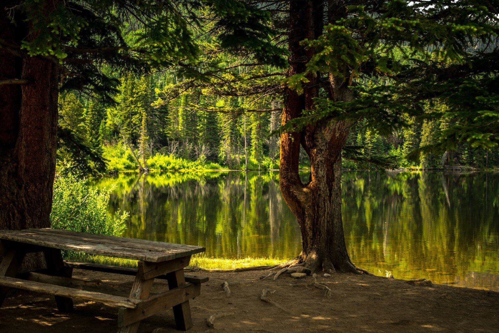 brown wooden picnic table near lake